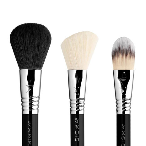 Essential Travel Brush Set